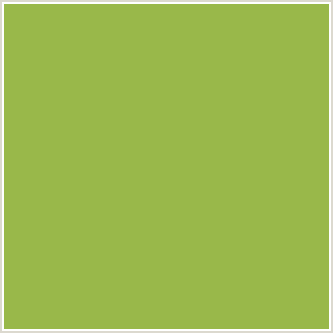 99B84A Hex Color Image (GREEN YELLOW, SUSHI)