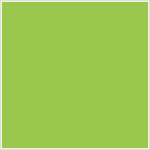 9AC74D Hex Color Image (CELERY, GREEN YELLOW)