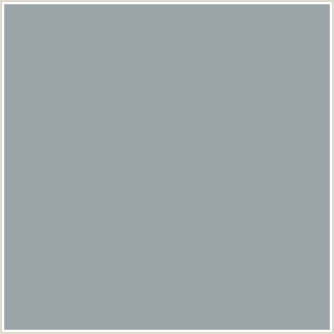 9BA5A8 Hex Color Image (GRAY CHATEAU, LIGHT BLUE)