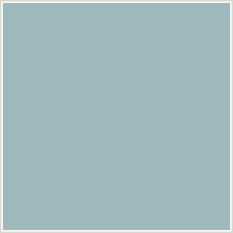 9FB8BC Hex Color Image (LIGHT BLUE, TOWER GRAY)