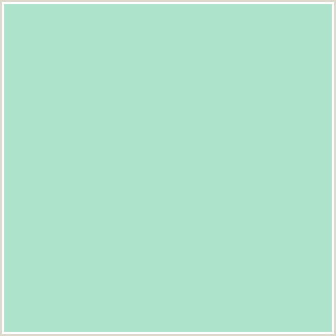 AEE3CB Hex Color Image (FRINGY FLOWER, GREEN BLUE)