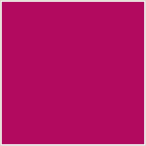 B20A5E Hex Color Image (DEEP PINK, FUCHSIA, FUSCHIA, HOT PINK, JAZZBERRY JAM, MAGENTA)