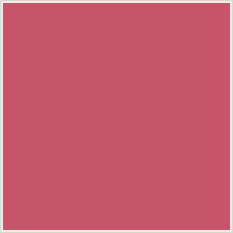 C7566A Hex Color Image (CHESTNUT ROSE, RED)