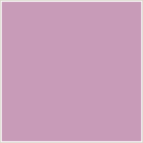 C89BB8 Hex Color Image (DEEP PINK, FUCHSIA, FUSCHIA, HOT PINK, LILAC, MAGENTA)