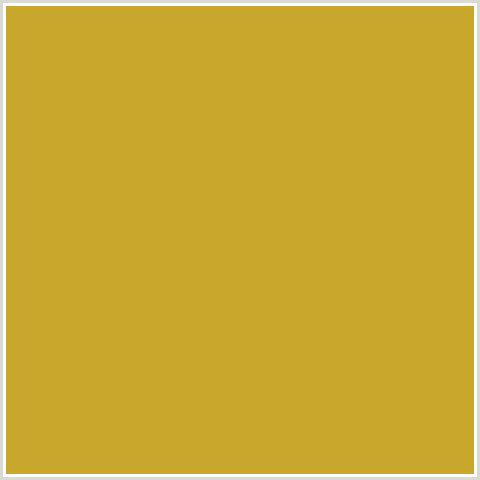 C9A62C Hex Color Image (HOKEY POKEY, ORANGE YELLOW)