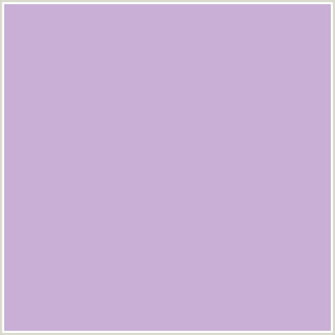 C9AFD6 Hex Color Image (LAVENDAR, LAVENDER GRAY, PURPLE, VIOLET)