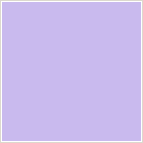 C9BAEE Hex Color Image (BILOBA FLOWER, BLUE VIOLET)