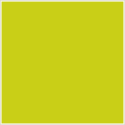 C9CF17 Hex Color Image (BIRD FLOWER, YELLOW GREEN)