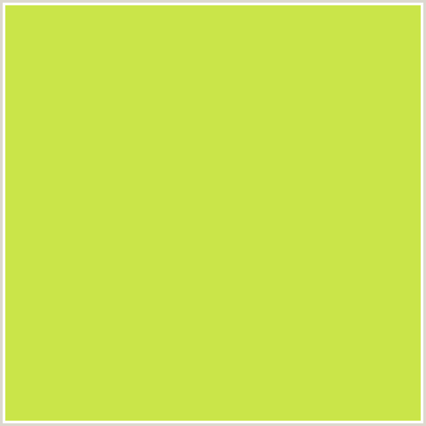 CAE549 Hex Color Image (GREEN YELLOW, PEAR)