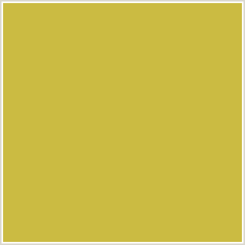 CBBB42 Hex Color Image (TURMERIC, YELLOW)