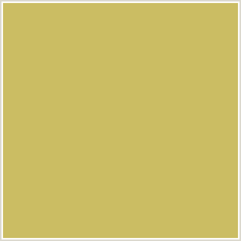 CBBD63 Hex Color Image (SUNDANCE, YELLOW)