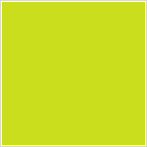 CBDE1D Hex Color Image (BARBERRY, YELLOW GREEN)