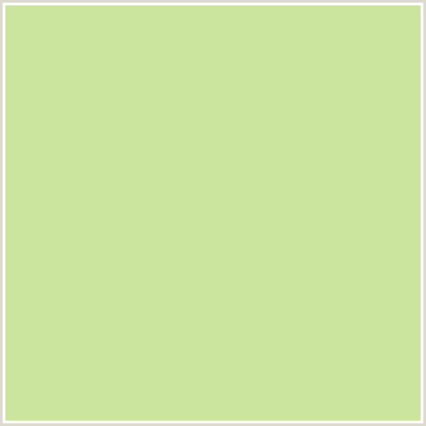 CBE59E Hex Color Image (CAPER, GREEN YELLOW)