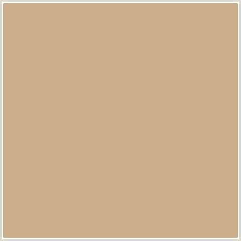 CCAF8A Hex Color Image (ORANGE, SORRELL BROWN)