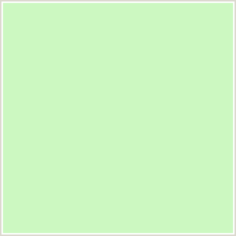 CCF8C1 Hex Color Image (GOSSIP, GREEN)