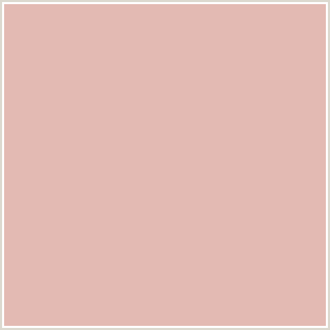 E3BAB3 Hex Color Image (RED, ROSE FOG)