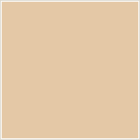 E4C8A6 Hex Color Image (CASHMERE, ORANGE)