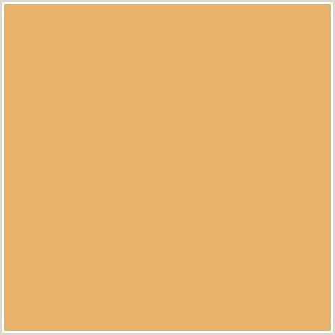 E5B16B Hex Color Image (EQUATOR, ORANGE)