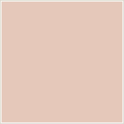 E5C8B9 Hex Color Image (GRAIN BROWN, ORANGE RED)