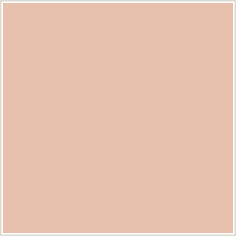 E8C1AD Hex Color Image (CASHMERE, ORANGE RED, PEACH)