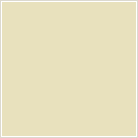 E8E1BD Hex Color Image (DOUBLE SPANISH WHITE, YELLOW)