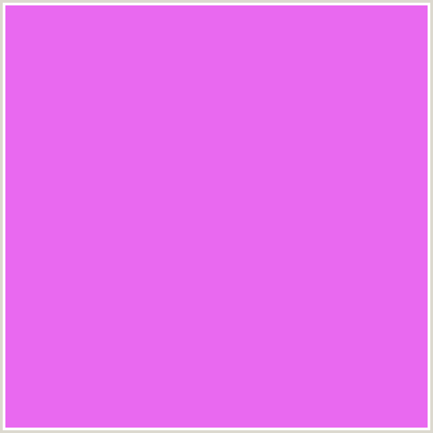 E969F0 Hex Color Image (DEEP PINK, FUCHSIA, FUSCHIA, HELIOTROPE, HOT PINK, MAGENTA)