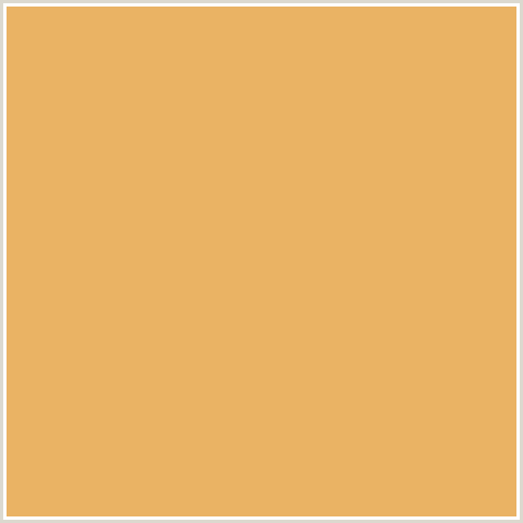 EAB364 Hex Color Image (ORANGE, PORSCHE)