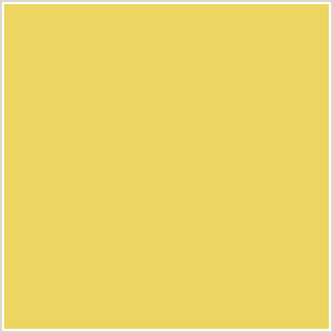 ECD561 Hex Color Image (CONFETTI, YELLOW)