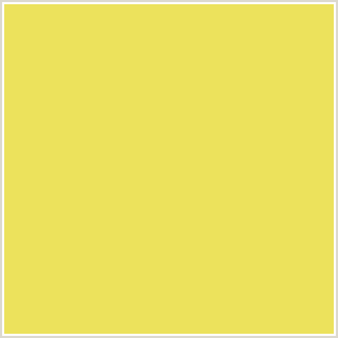 ECE25C Hex Color Image (CONFETTI, YELLOW)