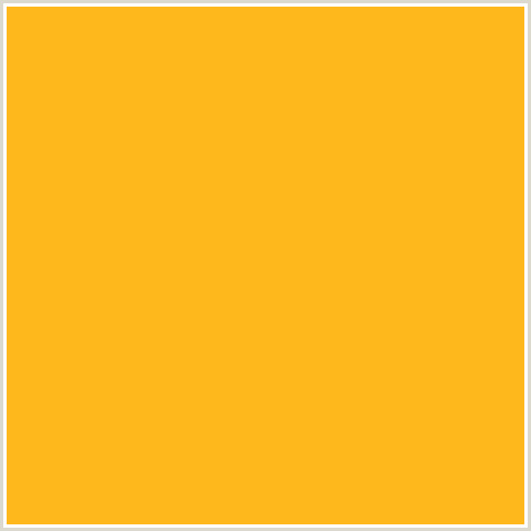 FFB81C Hex Color Image (MY SIN, YELLOW ORANGE)