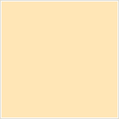 FFE6B6 Hex Color Image (ORANGE, PEACH, TAN)